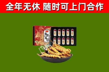 淄川烟酒回收冬虫夏草礼盒.jpg