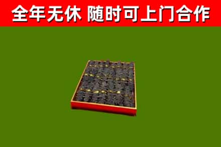 淄川回收海参